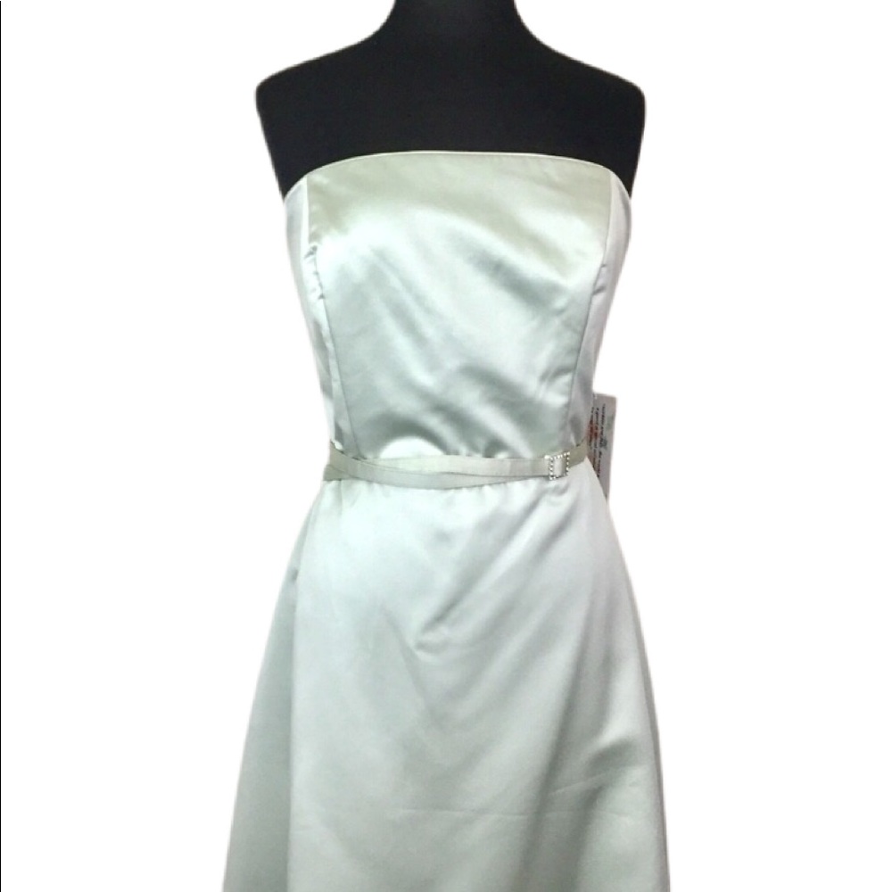 NWT Alfred Angelo Mint Green Gown